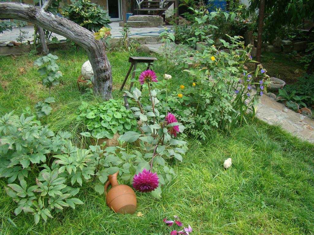 Guest House Ucha Mtsʼkhetʼa Εξωτερικό φωτογραφία