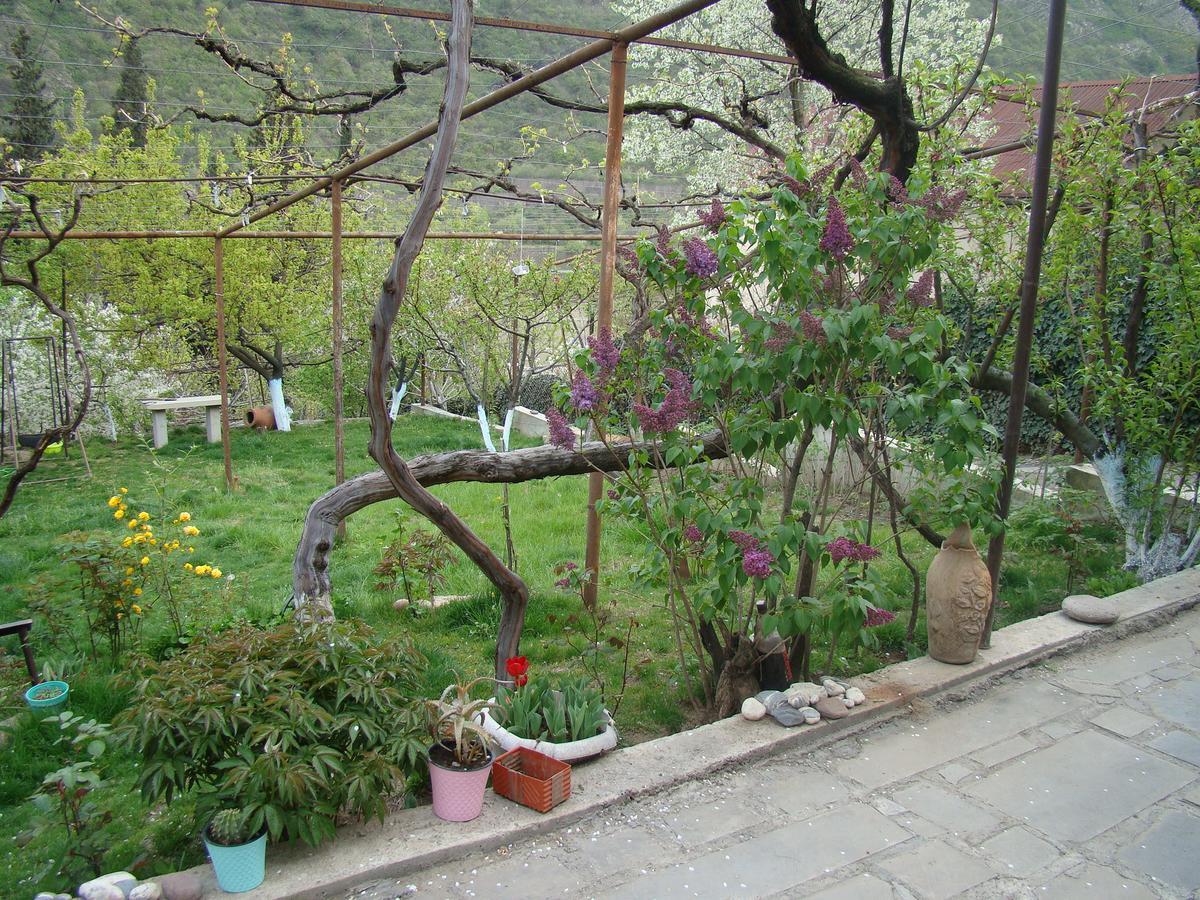 Guest House Ucha Mtsʼkhetʼa Εξωτερικό φωτογραφία