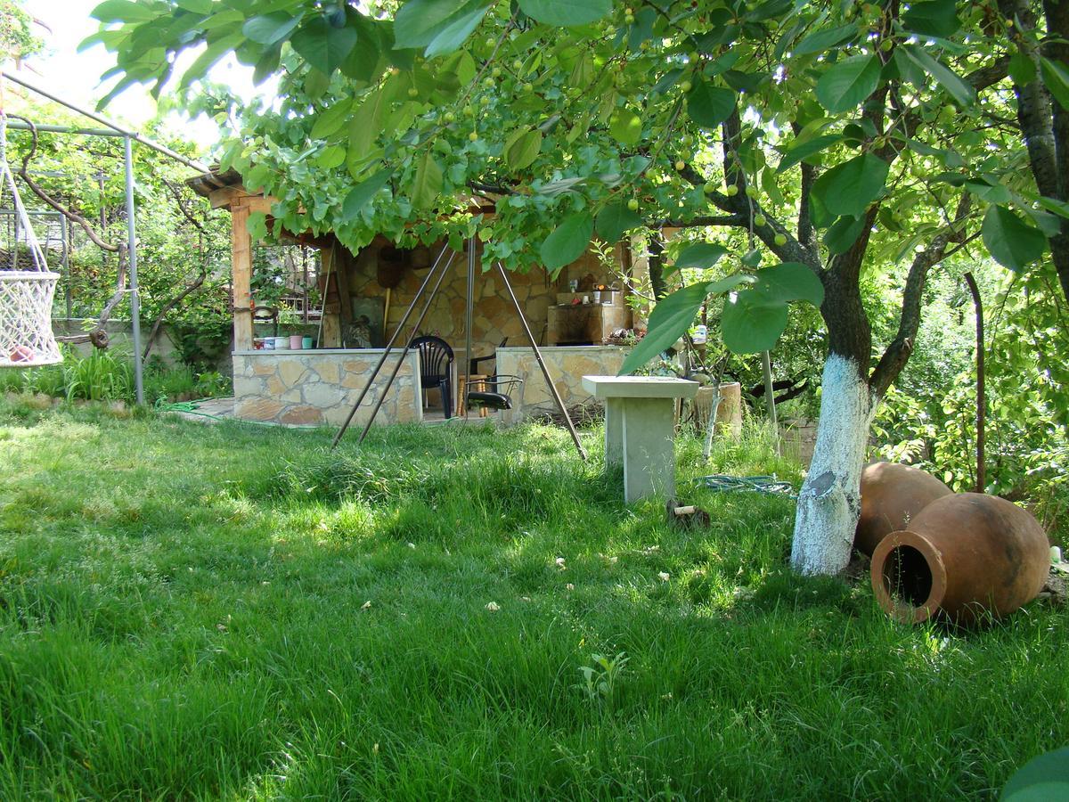Guest House Ucha Mtsʼkhetʼa Εξωτερικό φωτογραφία
