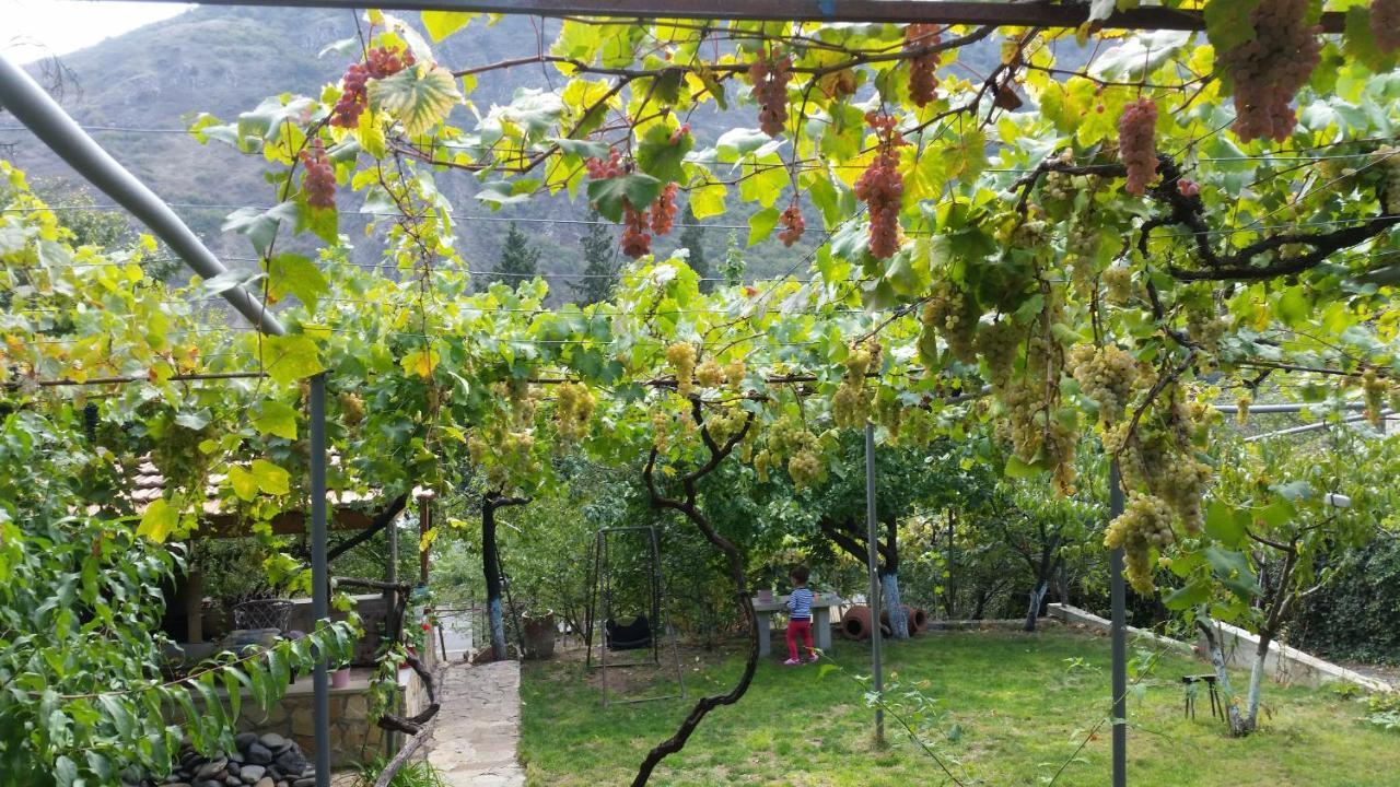 Guest House Ucha Mtsʼkhetʼa Εξωτερικό φωτογραφία