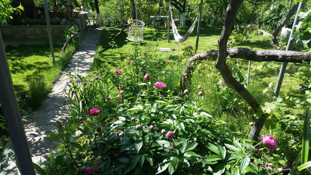Guest House Ucha Mtsʼkhetʼa Εξωτερικό φωτογραφία