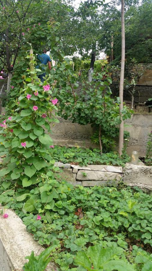 Guest House Ucha Mtsʼkhetʼa Εξωτερικό φωτογραφία